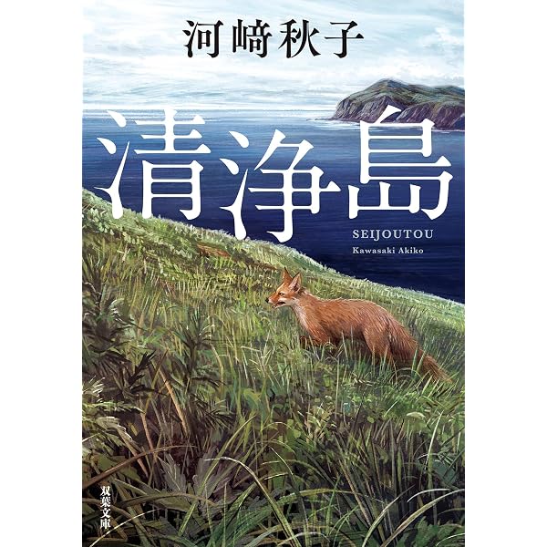 Amazon.co.jp: 続 泥流地帯 (新潮文庫) : 綾子, 三浦: 本